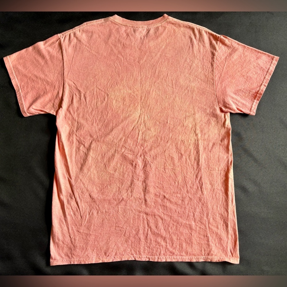 Call Your Mother Graphic T-Shirt Mississippi Men’s Size Large Music Pink - Picture 6 of 6